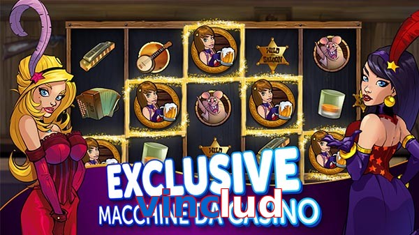 vinclud