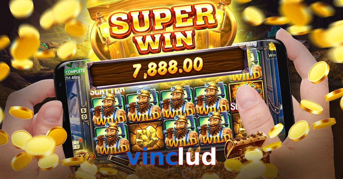 vinclud