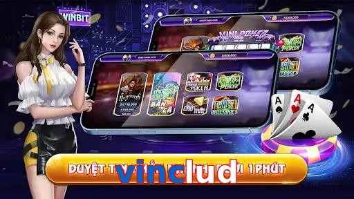 vinclud