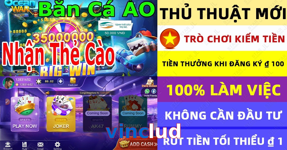 vinclud