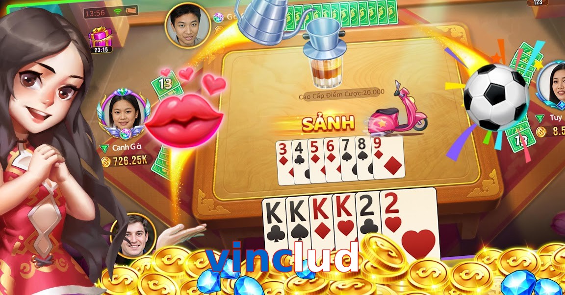 vinclud