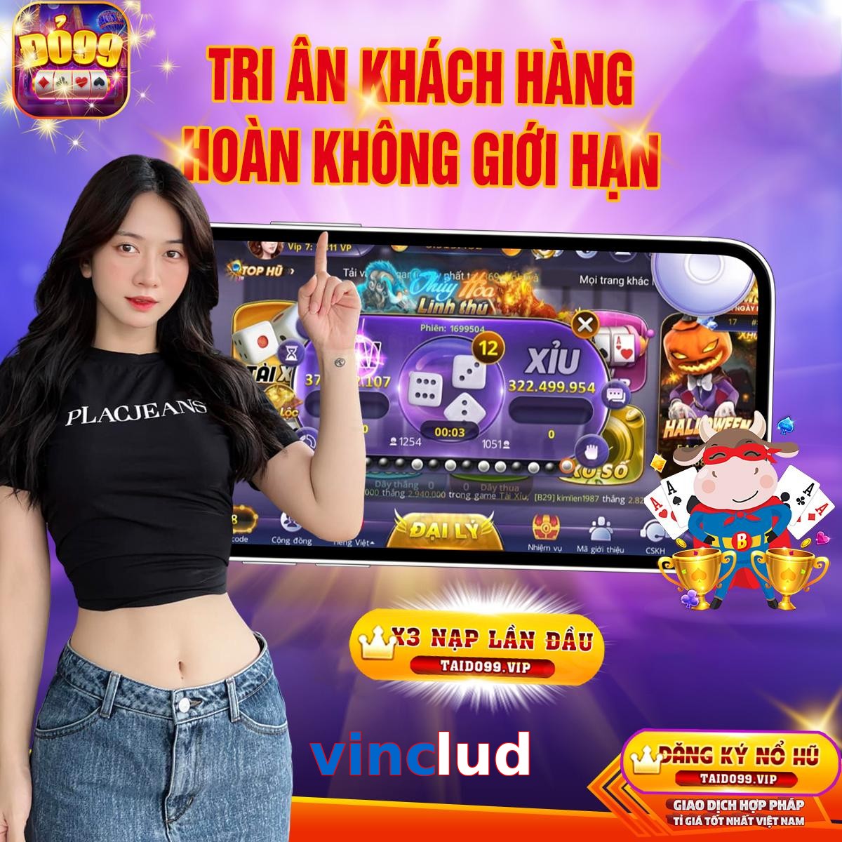 vinclud