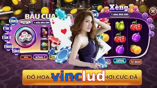 vinclud