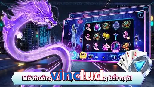 vinclud