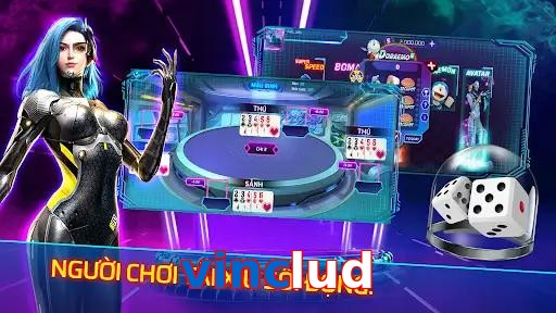 vinclud