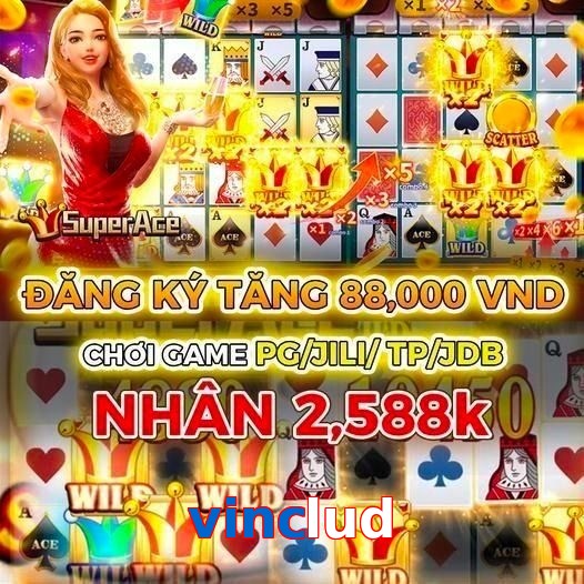 vinclud