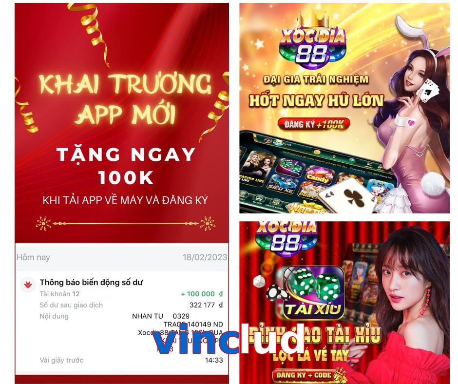 vinclud